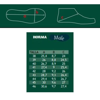 Elastic Caballero Cordones