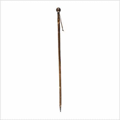 Bastón de madera elegante con brújula